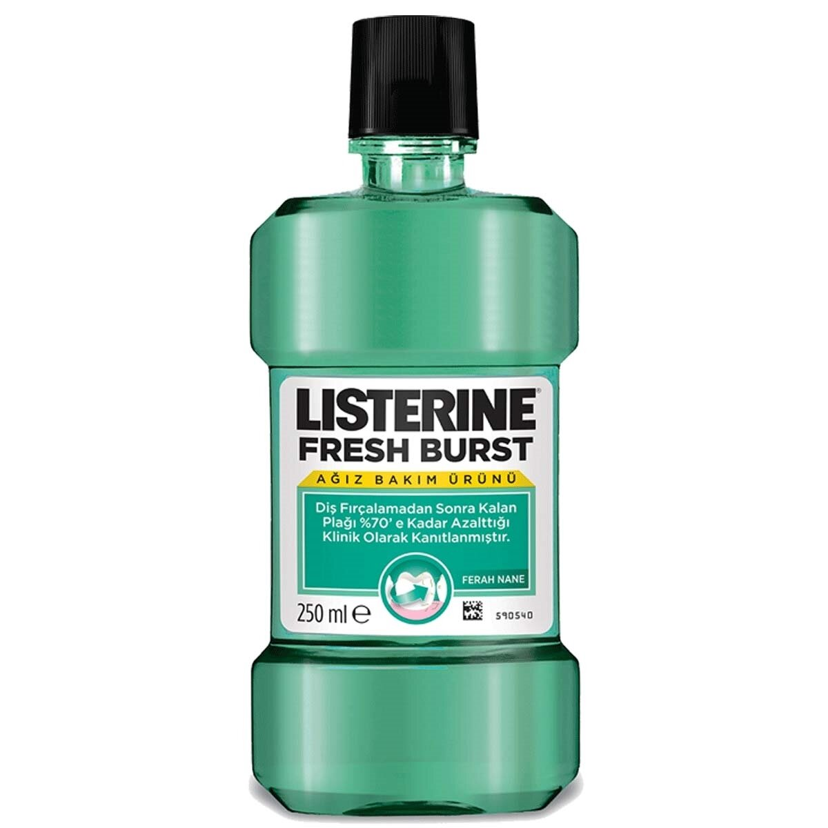 LISTERINE 250ml FRESH BUR